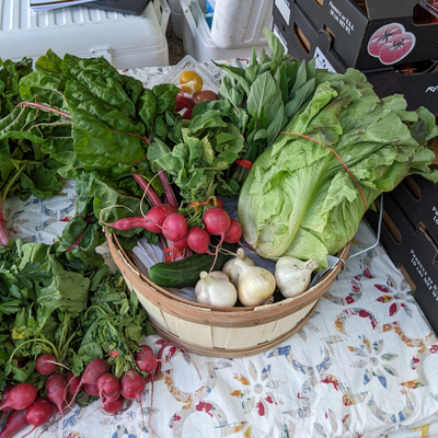A basket of fresh produce