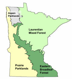 Map depicting the four biomes of Minnesota.