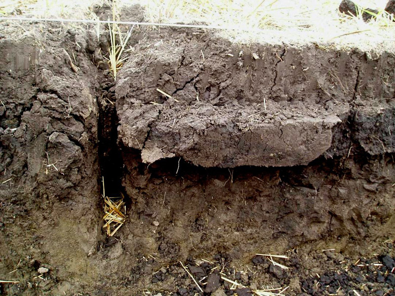 side view of soil where top six inches appears to be separated from soil below it.