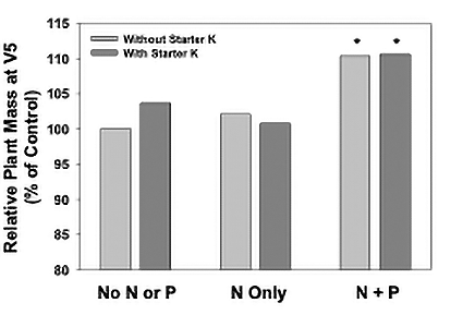Bar graph showing increases in early plant mass (compared to no-starter) for seed placed fertilizer products containing nitrogen (N), phosphorus (P), and potassium (K) on soils testing Medium to High in P and K. Asterisks (*) indicate where treatments differed from the unfertilized control.
