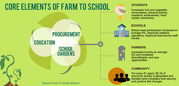 Infographic showing the core elements of farm to school explained in text below