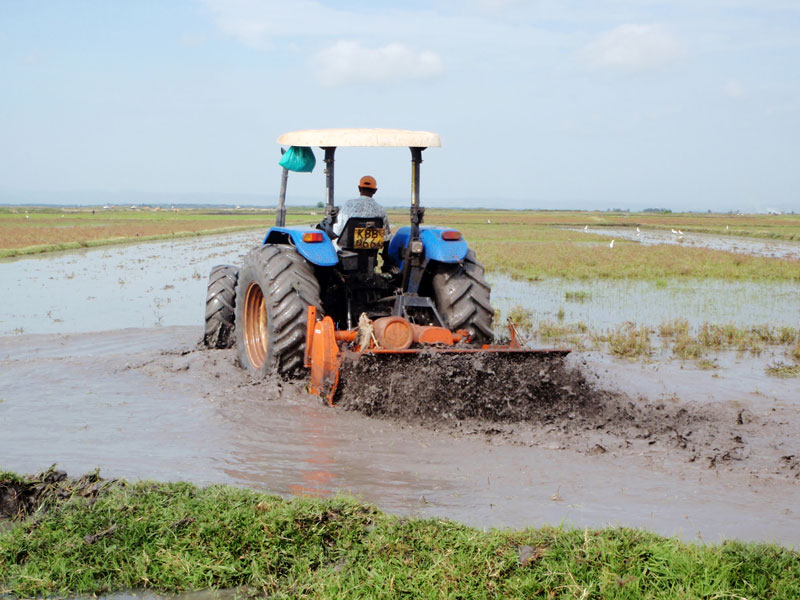person driving a tractor through water in a rice field.