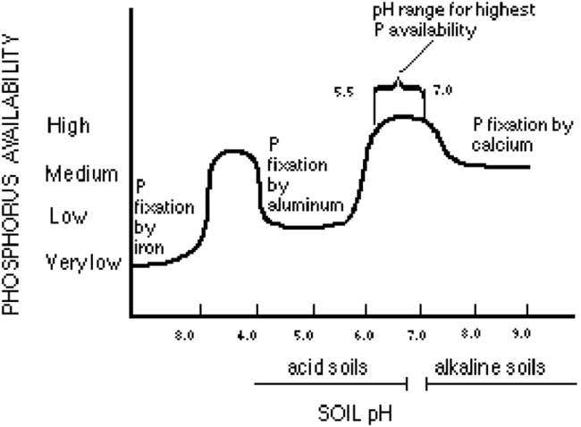 chart showing when phosphorus becomes avaialble in the soil at various pHs