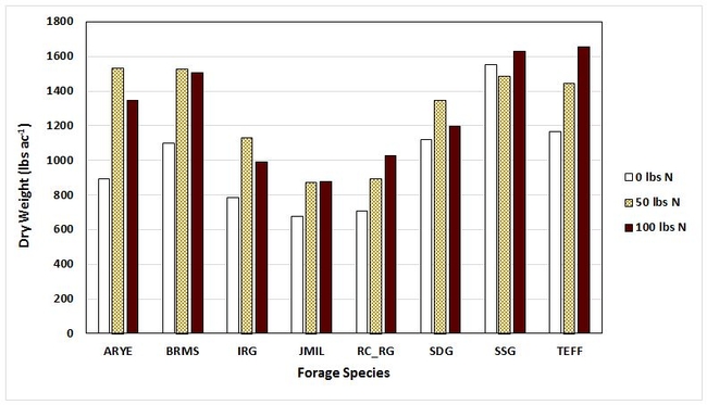 Forage yields by N rate