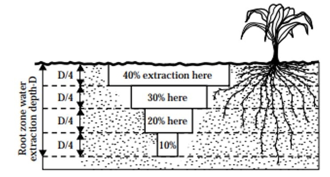 soil water extraction pattern graphic