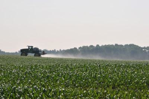 Tractor spraying row crops with pesticide that is visibly drifting in the wind.