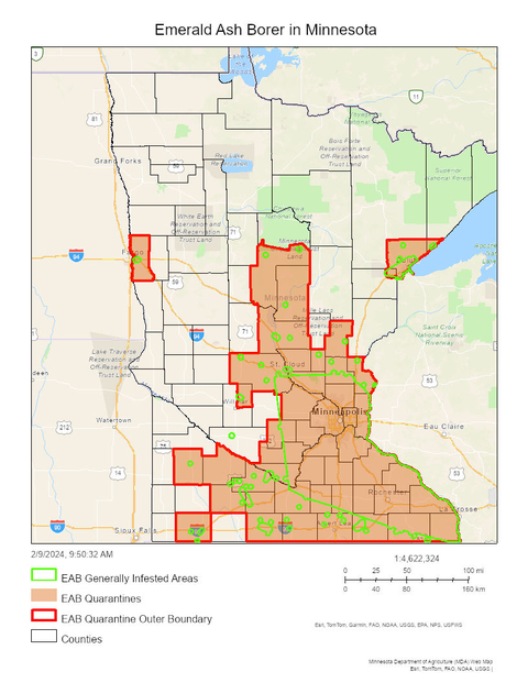 Map of Minnesota with areas shaded and outlined in bold indicating where quarantine is in effect for emerald ash borer.