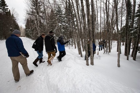 Adults walking into a snow covered forest.