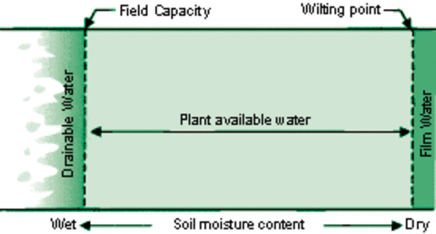 Plant-available water and drainable water