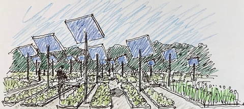A sketch of future plans of rows of raised bed vegetable gardens with solar panels between the rows. 