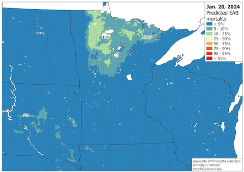 Map of the upper Midwest in blue, with areas of northern Minnesota in shades of drak to light green, indicating where emeralsd ash borer larva were not expected to survive the winter of 2023-24.