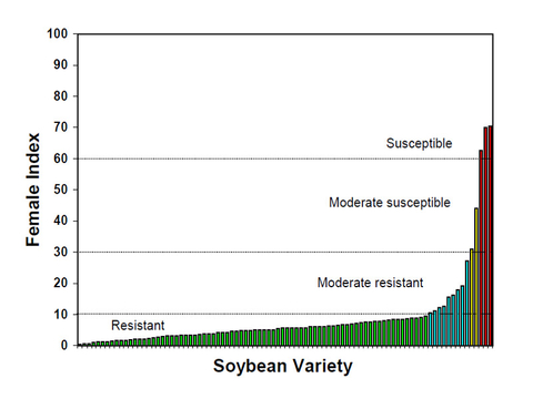 Female indices of soybean varieties