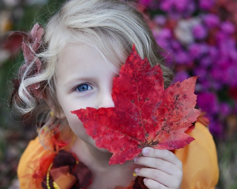 A young blonde girl with a big read leaf covering half of her face.