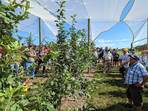 A group gathers in an apple orchard that is covered with sheets of hail netting.