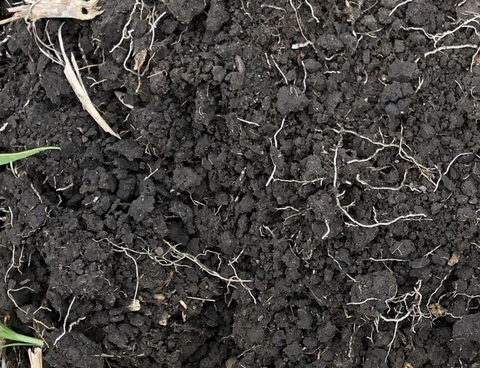 Example of well-aggregated soil