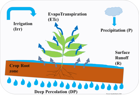 soil water components illustration
