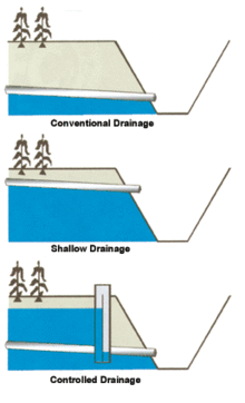 shallow drainage