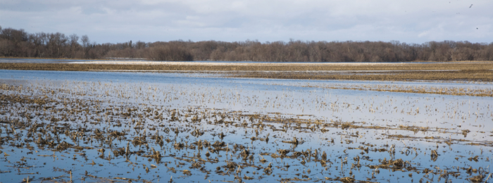 Crop field flooded with water
