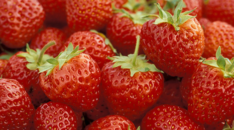 red, ripe strawberries