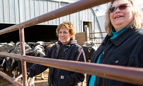 Two women standing at a fence near a cow barn.