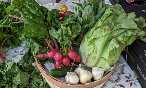 A basket of fresh produce