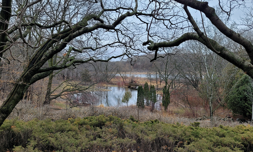 Wooded pond in early spring
