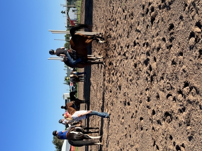 Youth participating in horse riding clinic.
