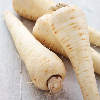 Harvested white parsnips on table