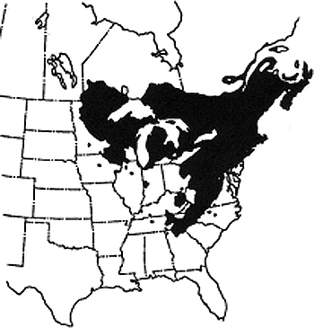 Map of the range of eastern white pine