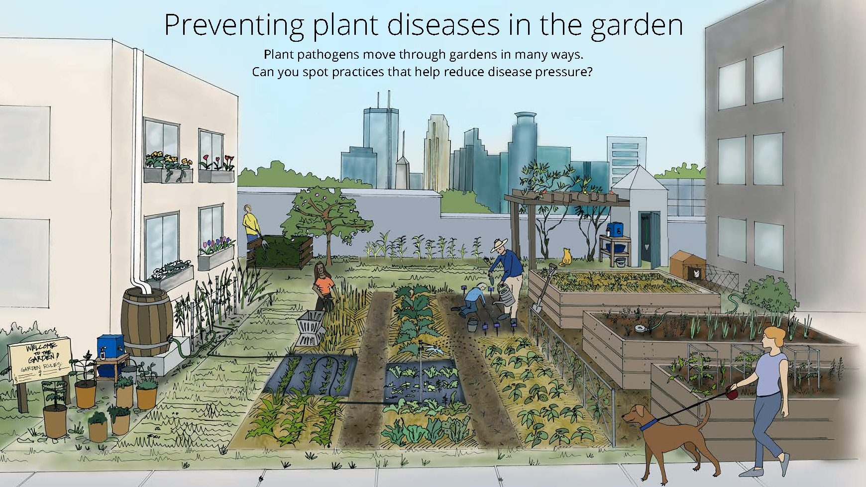 Illustration of people working in an urban garden with a cityscape in the background. Text on the image says "Preventing plant diseases in the garden. Plant pathogens move through gardens in many ways. Can you spot practices that help reduce disease pressure?"