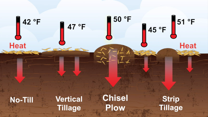 chart of air temperature and type of tilling.