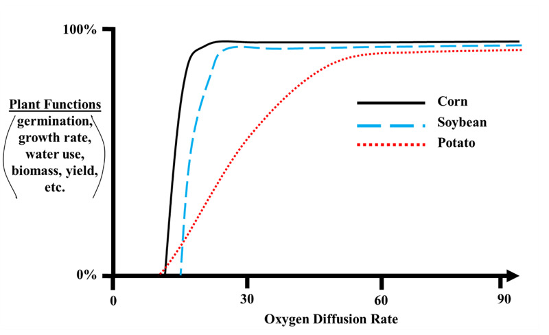 graph illustrating plant functions versus oxygen diffusion rate.