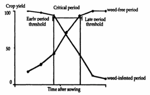 chart showing critcal period for a crop field to be weed free. % crop yield on the y-axis, time after sowing on the x axis. the most critical period is in the middle of the growing period