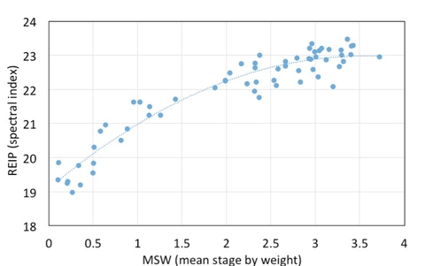 A line graph showing several sampling points. This graph shows that spectral indices (REIP) increase with increased alfalfa maturity (MSW).