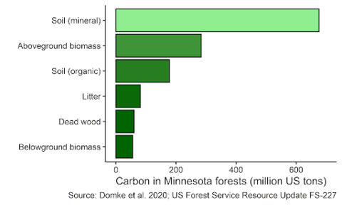 Graph showing where carbon is stored in forests. 