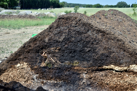 Inside view of a compost pile after 7 weeks; the carcass has completely decomposed.