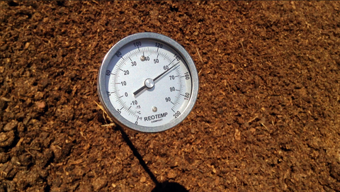 Compost thermometer in a pile of compost.