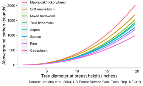 Graph showing the amount of carbon stored by different tree species. For the same diameter tree, maple, oak, hickory, and beech trees store the most carbon compared to other species.