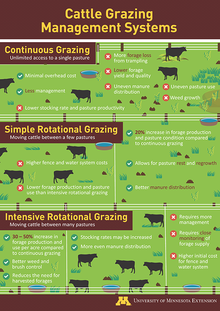 Thumbnail of poster graphic depicting the pros and cons of continuous grazing, simple rotational grazing, and intensive rotational grazing. The graphic is split into thirds with the top third depicting a continuous grazing system, the middle third a simple rotational system, and the bottom third an intensive rotational system.