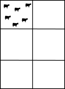 Diagram of cows on an intensive rotational grazing system.