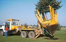 Truck with tree spade, digging tree out of ground. 