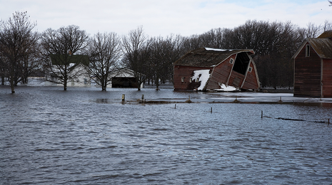 Flooded farmstead.