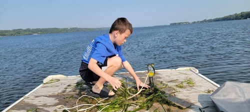 boy on dock inspecting lake weeds