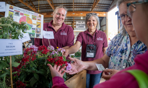 Master Gardener volunteers talking with fairgoers at a county fair.