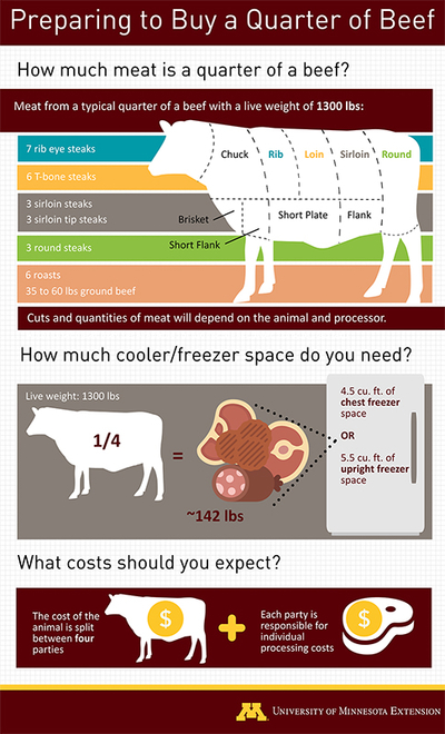 Infographic of how to buy a quarter of beef. The details of the text on this graphic are in the text box with the image. Details are also in the description of the PDF.