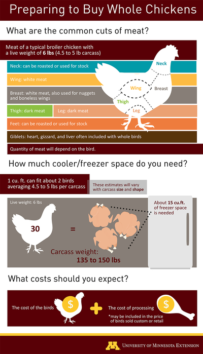 Diagram showing the sections of meat on a broiler chicken with different cuts listed that would make up a typical quantity of meat to expect from a whole chicken with a live weight of 6 pounds. Cuts: neck, breast, wing, thigh, leg. The details of the text on this graphic are in the text box with the image. Details are also in the description of the linked PDF.